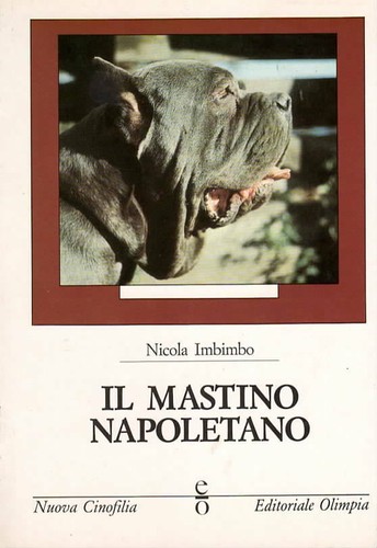 Mastino napoletano cane - mastino,