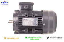 Motore elettrico trifase