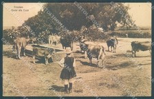 Oristano Città Bovini alla