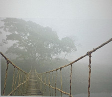 IKEA BJORKSTA Wall Art Giungla Viaggio Altro Lato Ponte Corda SOLO TELA 55”x39”