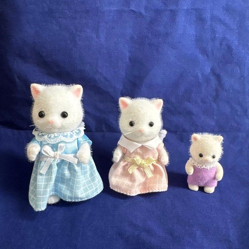 Famiglia gatti persiani - di,