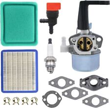 696065 Carburatore per Briggs & Stratton 697422 110402 110412 12D400 5HP-6HP