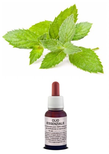Olio essenziale puro - olio,