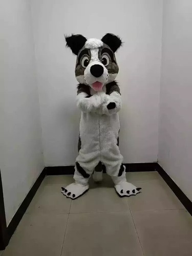 Peluche husky cane mascotte - peluche,