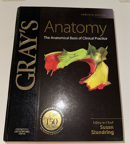 Gray anatomy the anatomical - the,