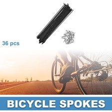Raggi Bici Bicicletta 14G