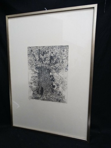 Litografia giuseppe grosso - giuseppe,