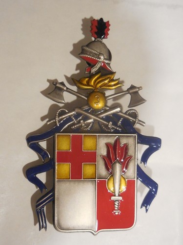 Grande distintivo reggimento - grande, 3