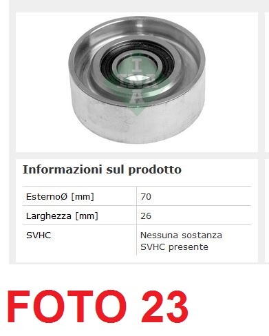 Tendicinghia rullo tenditore - tendicinghia,