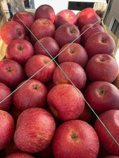 Mela Annurca Campana IGP Box