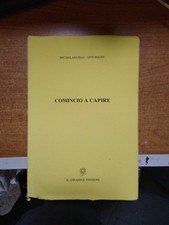 MICHELANGELO ANTONIONI COMINCIO A CAPIRE IL GIRASOLE EDIZIONI 1999