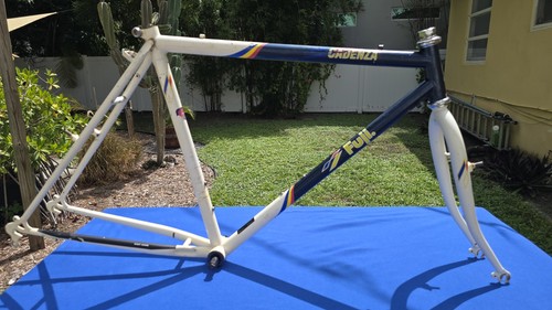 Rara fuji cadenza - cadenza, 1989