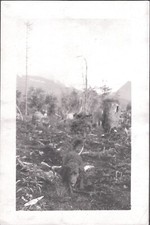 FOTOGRAFIA VINTAGE PUNTATORE