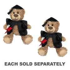 Orsacchiotto di laurea con