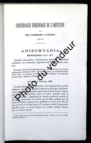 Paléontologie cossmann - paléontologie,