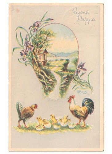 1956 bassi pasqua cartolina - bassi,