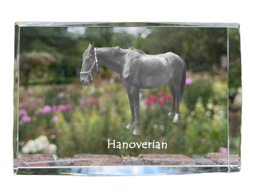 Hannoveriano cristallo con