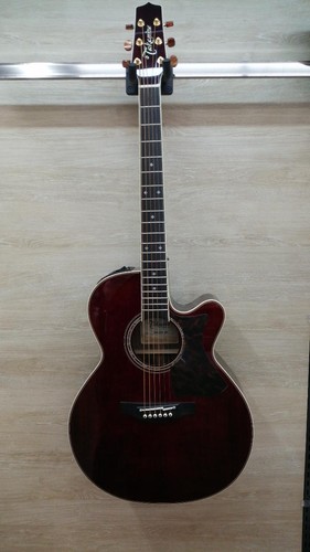 Takamine dmp50s chitarra - dmp50s, wr