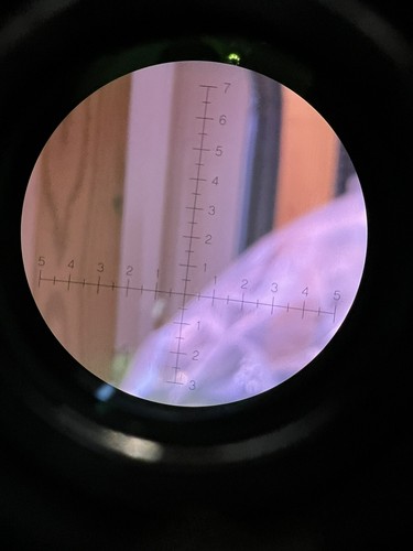 Binocolo m24 - binocolo, da
