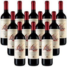 Vino rosso canneto maremma - vino, il