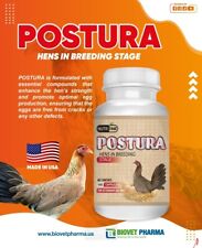 POSTURA per Costruttore Osso di Galline e Uova 100 Capsule Integratori Para Galline 