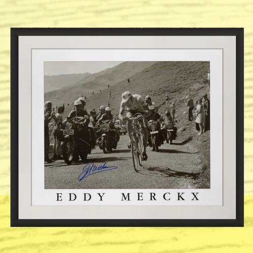 Stampa firmata eddy merckx - stampa,