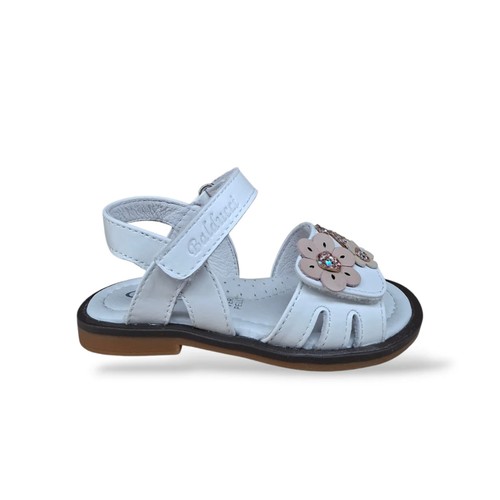 Balducci gull1822 b20031 - balducci, gull1822-b20031-white