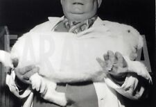 Foto vintage Animali, Coniglio gigante delle fiandre, 1963, Stampa 18 x 13 cm