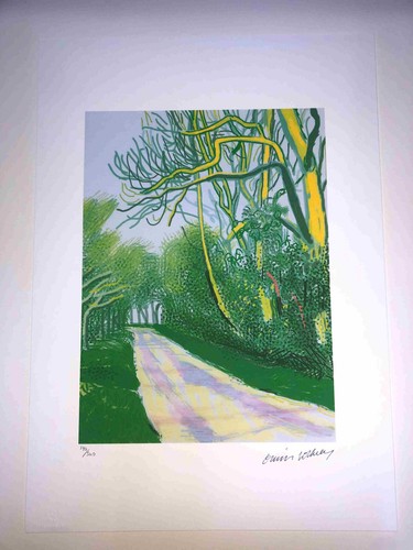 David hockney litografia - david,