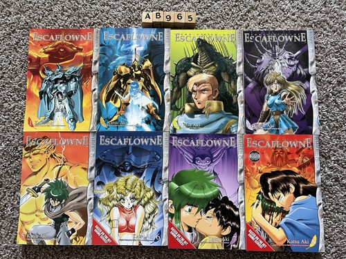 The vision escaflowne manga - the,