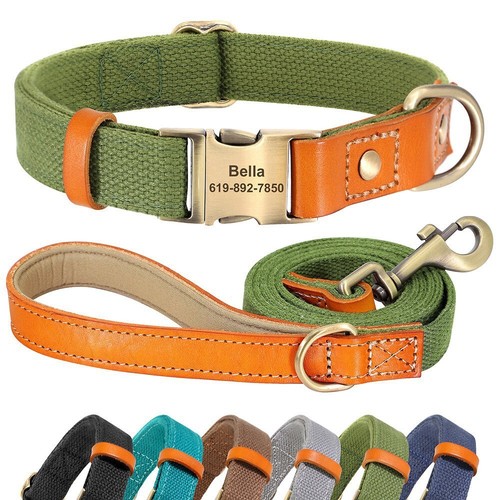 Set collare guinzaglio per - e,