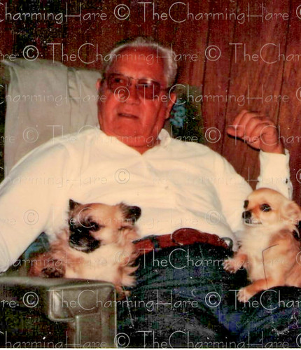 Foto vintage uomo - foto, che