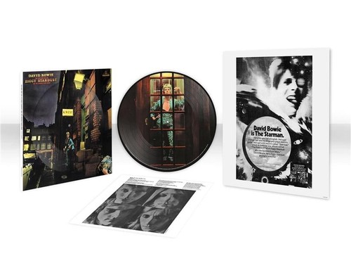 David bowie the rise and - david,