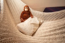 Amaca a rete messicana "Mikko"