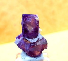 30,2 g fantasma viola naturale