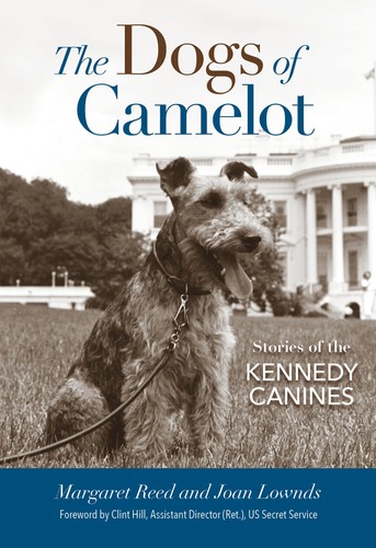 The dogs camelot stories - dogs,