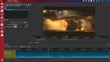  Professional Video movie