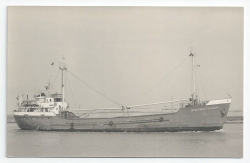 Thorn line silverthorn cargo - silverthorn,
