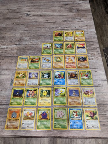 Jungle set lotto completo 32 - lotto,