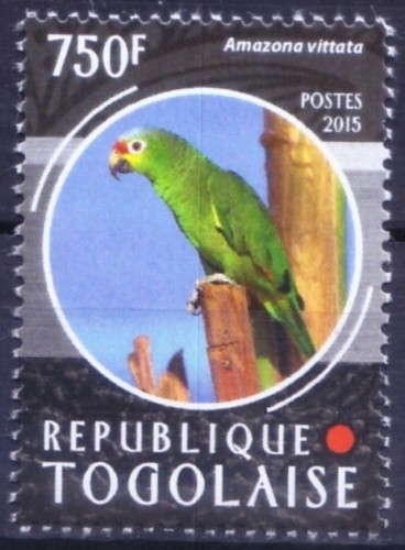 Togo 2015 mnh - mnh,, amazzonia