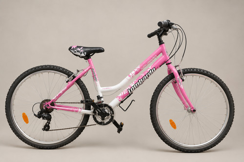 bicicletta