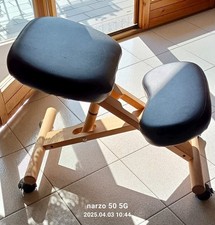 sedia ergonomica da scrivania