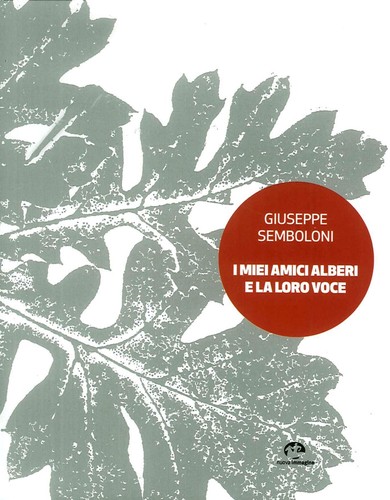 Libri giuseppe semboloni - giuseppe, i
