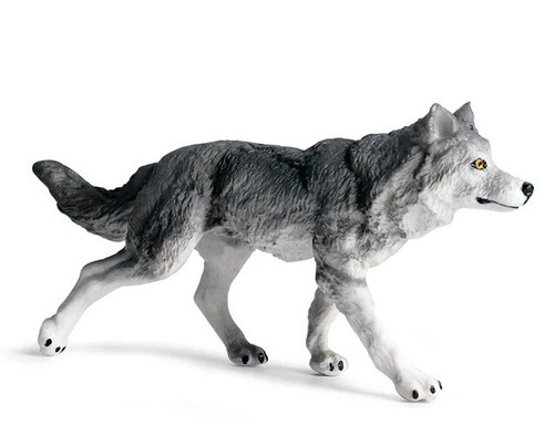 Lupo passeggio grigio - lupo,