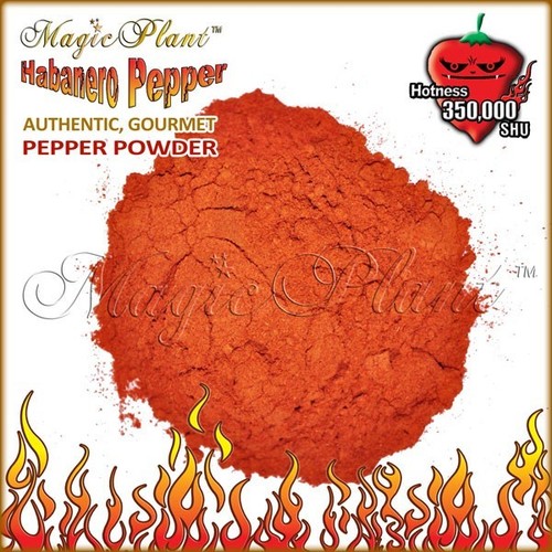 Polvere habanero rosso 1kg - polvere,