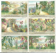 S 1354 / LIEBIG / LA FLORA