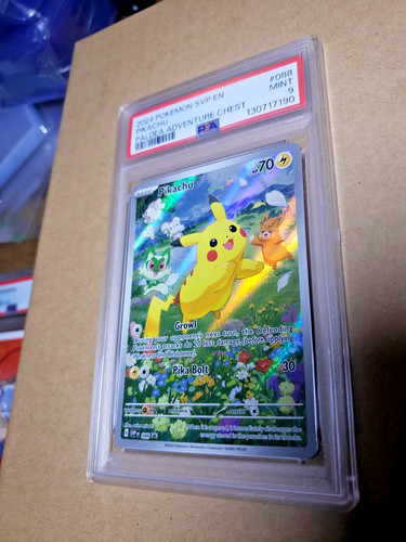 2024 pokemon svp - pokemon, en-sv