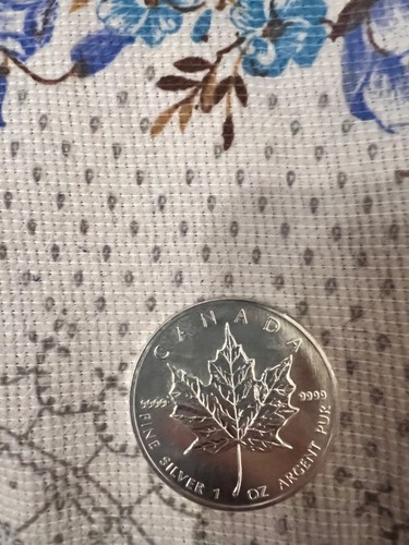 Moneta dollari argento - dollari,