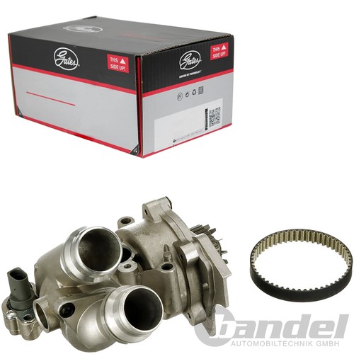 Kit cinghia dentata - kit,
