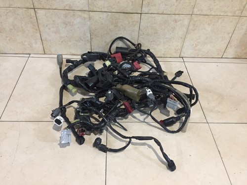Impianto elettrico honda cbr - impianto,